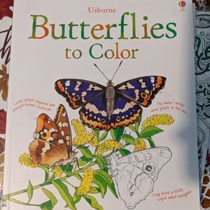 Butterflies coloring book